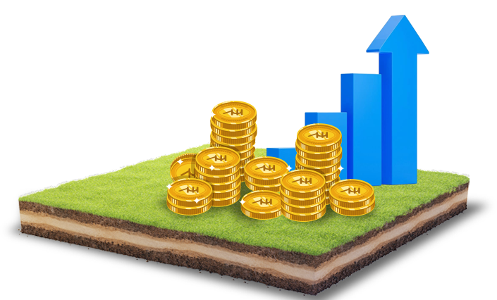 A Smarter Investment – Appreciation  in the Making